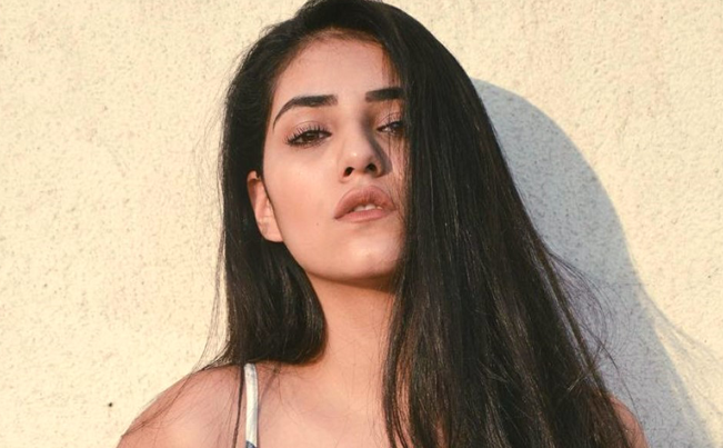 Amritsar Escort Services