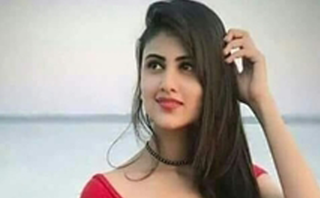 Amritsar Escort Services